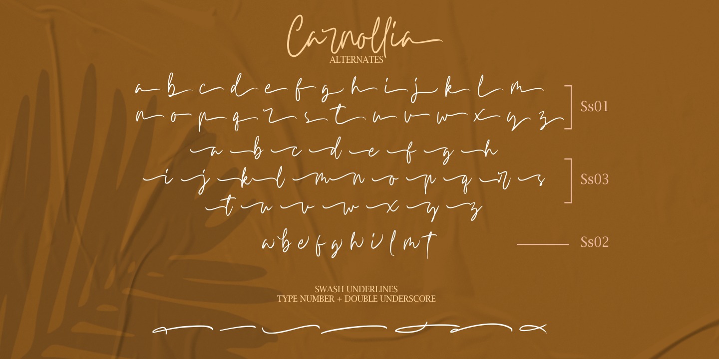 Example font Carnollia Signature #3